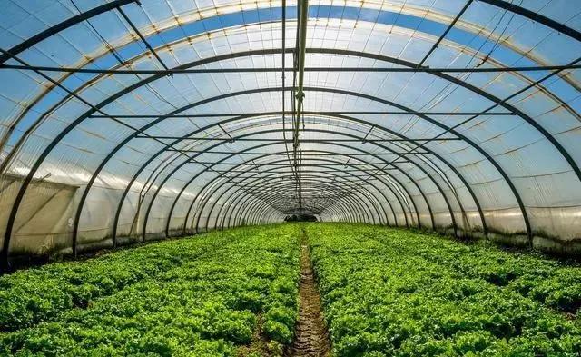 整頓大棚房成了一刀切的代名詞，斷水?dāng)嚯姶u瓦不留，拆成了荒蕪！