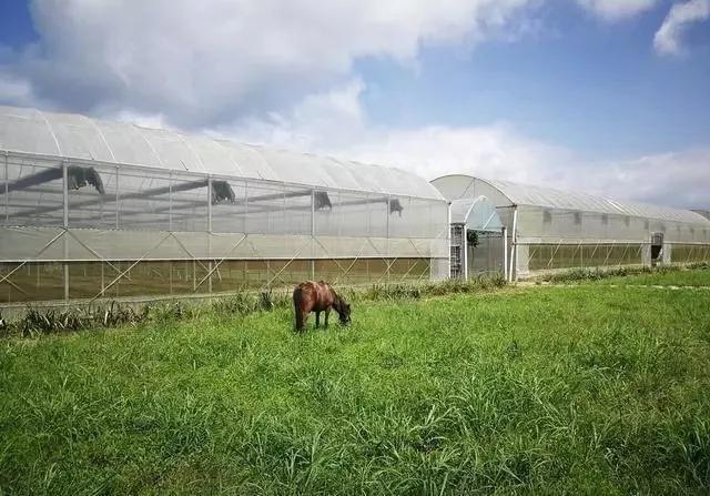 整頓大棚房成了一刀切的代名詞，斷水?dāng)嚯姶u瓦不留，拆成了荒蕪！